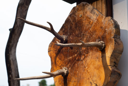 🦌 Antler & Wood Wall Rack – Rustic Nature Hook