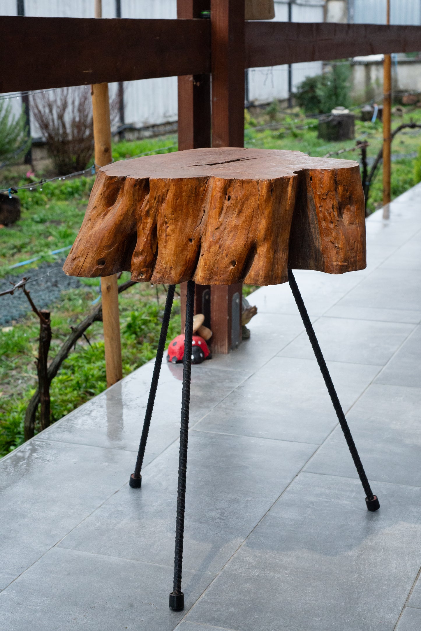 Rustic Solid Wood Side Table – Natural Tree Trunk with Iron Legs