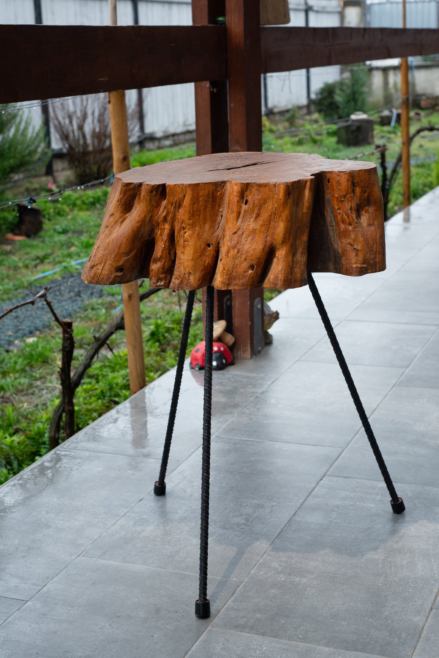 Rustic Solid Wood Side Table – Natural Tree Trunk with Iron Legs