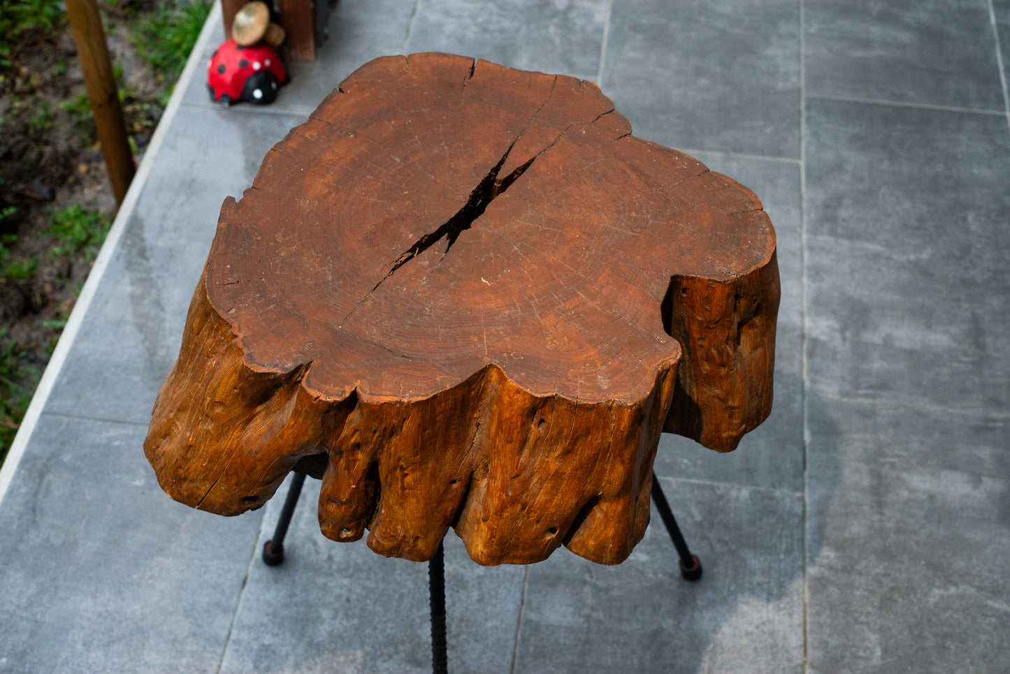 Rustic Solid Wood Side Table – Natural Tree Trunk with Iron Legs