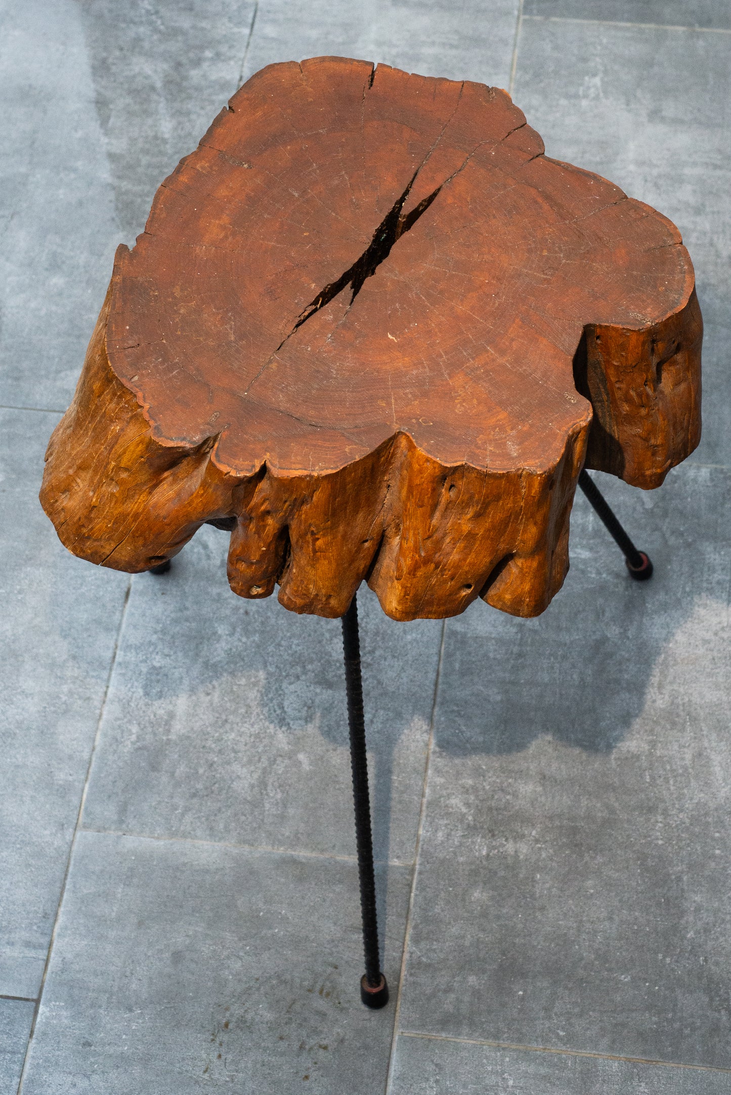 Rustic Solid Wood Side Table – Natural Tree Trunk with Iron Legs