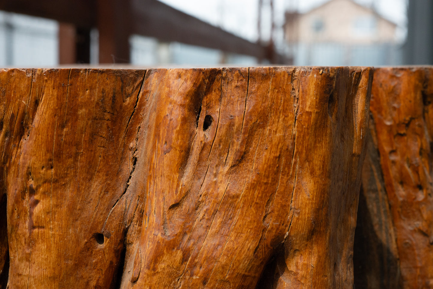Rustic Solid Wood Side Table – Natural Tree Trunk with Iron Legs