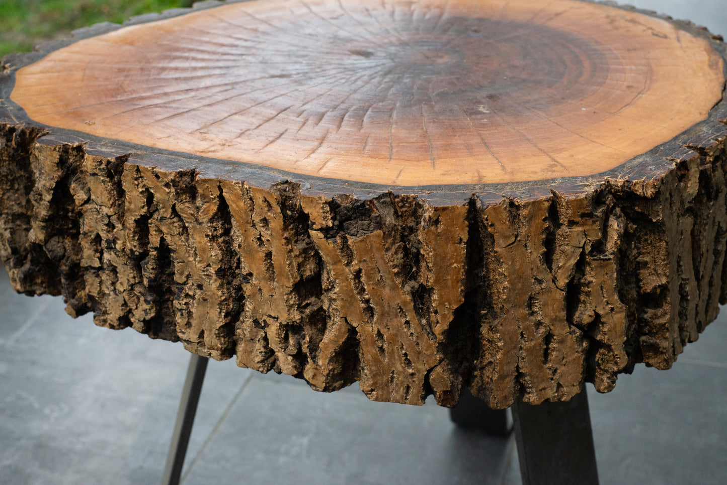 Rustic Tree Slice Side Table – Natural Bark Edge & Metal Legs