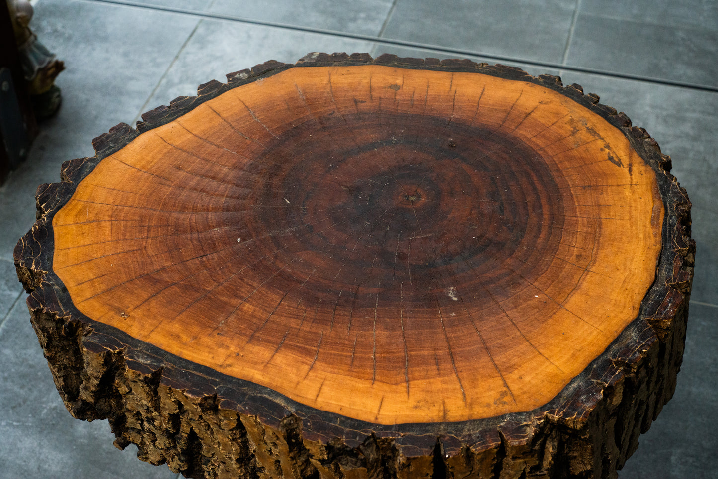 Rustic Tree Slice Side Table – Natural Bark Edge & Metal Legs