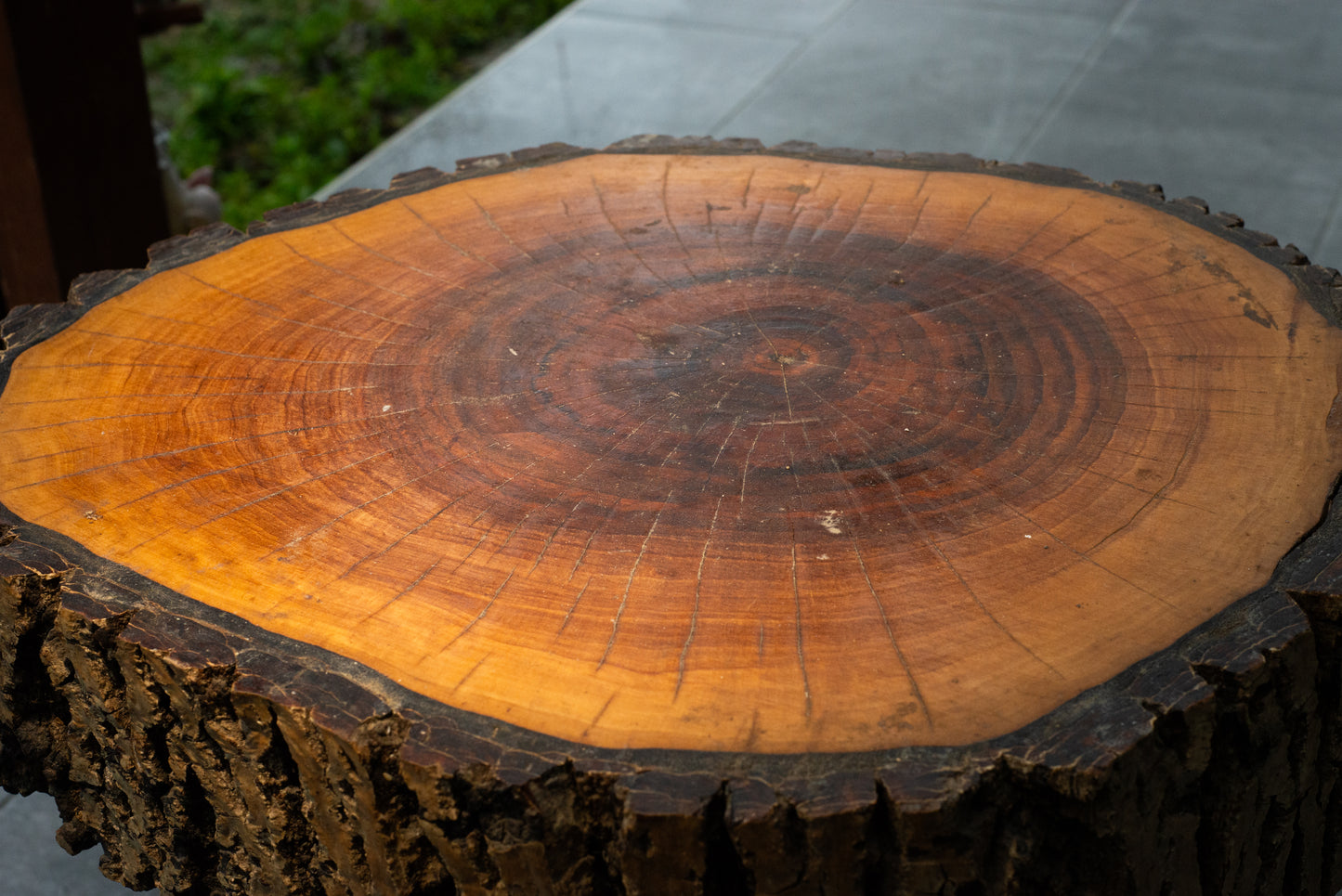 Rustic Tree Slice Side Table – Natural Bark Edge & Metal Legs